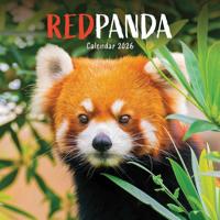 Rode Panda Kalender 2026