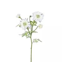 Buitengewoon de Boet - Scabiosa Tak Cream 60 cm kunstplant - thumbnail
