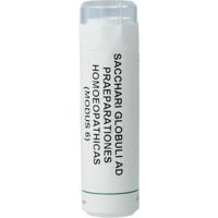 Homeoden Heel Saccharum officinalis/Placebo