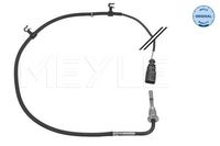 Sensor, uitlaatgastemperatuur 1148000235