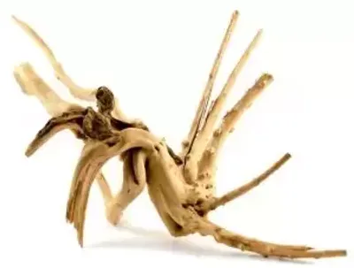 Superfish Spiderwood medium 30-40cm