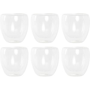 Koffieglazen/theeglazen dubbelwandig - set 6x - cappuccino glazen - 250 ml