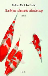 Een bijna volmaakte vriendschap (Paperback)