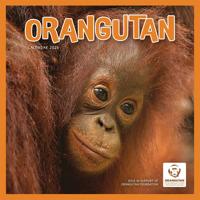 Orang-oetan Kalender 2026