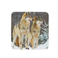 Onderzetter 2 wolven
