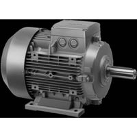 MSF-Vathauer Antriebstechnik Draaistroommotor GM 63/2 20 100027 0004 0.25 kW 230 V/400 V B3 2850 omw/min - thumbnail