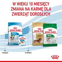 ROYAL CANIN Puppy Mini - droog hondenvoer - 8 kg