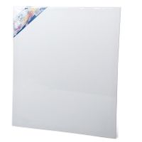 Canvas schildersdoek 60 x 50 cm voor hobby verven/schilderen