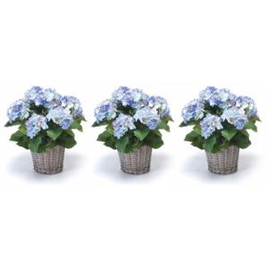 Kunstplant Hortensia bloemen in mand - 3x - Blauw - H45 cm - Kunstplanten/nepplanten met bloemen