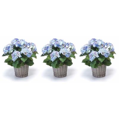 Kunstplant Hortensia bloemen in mand - 3x - Blauw - H45 cm - Kunstplanten/nepplanten met bloemen
