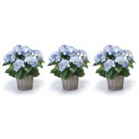 Kunstplant Hortensia bloemen in mand - 3x - Blauw - H45 cm - Kunstplanten/nepplanten met bloemen