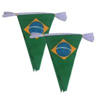 Brazilie landen punt vlaggetjes - 2x - 5 meter - polyester - landen - versiering - feestartikelen
