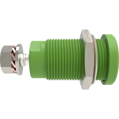 Schützinger DI SEB 9424 Ni / GN Veiligheids-inbouwbus Recht Groen 1 stuk(s)