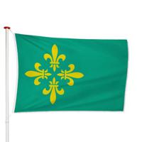 Vlag Midden-Drenthe - thumbnail