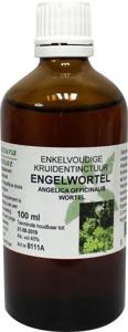 Natura Sanat Angelica officinalis/engelwortel tinctuur bio