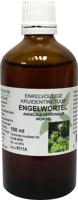 Natura Sanat Angelica officinalis/engelwortel tinctuur bio Natura Sanat Angelica officinalis/engelwortel tinctuur bio
