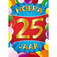 25 jaar mega deurposter 59 x 84 cm leeftijd verjaardag feestartikelen