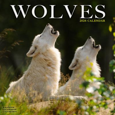 Wolven Kalender 2026