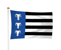 Vlag Waskemeer - Waskemar (fr)