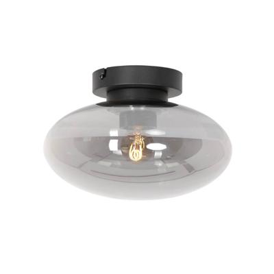 Steinhauer Glazen plafondlampReflexion ovaal Ø 25cm - 3387ZW