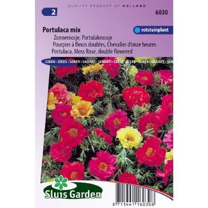 Portulaca Grandiflora zaden Choice Mix