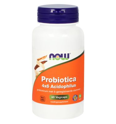 Biotica 4x6 acidophilus