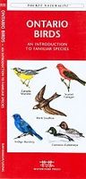 Vogelgids - Natuurgids Ontario Birds | Waterford Press - thumbnail