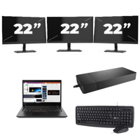 Lenovo ThinkPad X395 - AMD Ryzen 5 PRO 3500U - 13 inch - 16GB RAM - 256GB SSD - Windows 11 Home + 3x 22 inch Monitor