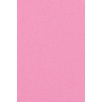 2x Feest versiering roze tafelkleden 137 x 274 cm papier   -