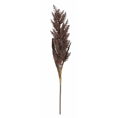 Pampasgras pluim losse steel/tak - bruin - 88 cm - Decoratie kunst graspluimen