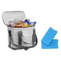 Koeltas van 25 x 20 x 35 cm wit/grijs met 6x stuks koelelementen
