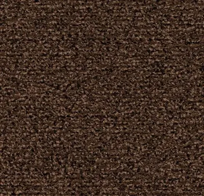 Coral Classic 4726 auburn 155 cm breed