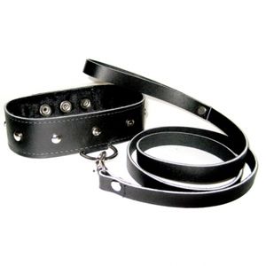 sportsheets - leather collar / leash set