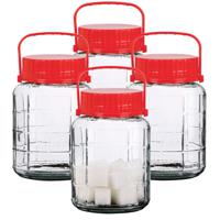 Voedsel opslag container - 4x - glas - 3 liter - afsluitdop en draag hengsel - transparant - voorraa