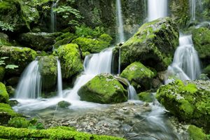 Tuinposter Waterval in het bos