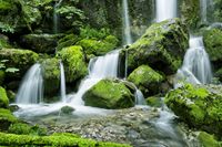 Tuinposter Waterval in het bos - thumbnail