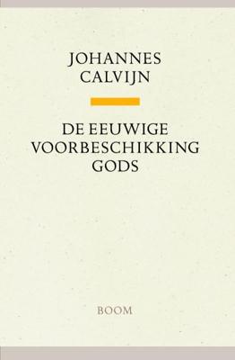 De eeuwige voorbeschikking Gods (Hardback)