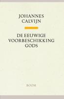 De eeuwige voorbeschikking Gods (Hardback)