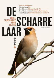 De scharrelaar - 2020/2 - Diverse auteurs - ebook