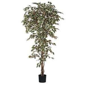 Mica Decorations Ficus Bont Kunstplant - H210 x Ø100 cm - Pot - Groen