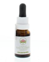 Jacaranda Jacaranda