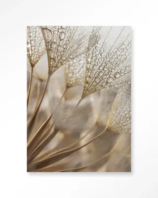 Natuurlijke Abstractie