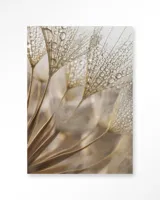 Natuurlijke Abstractie