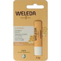 Everon Everon lippenbalsem Everon Everon lippenbalsem