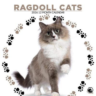 Ragdoll Kalender 2026