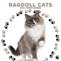 Ragdoll Kalender 2026
