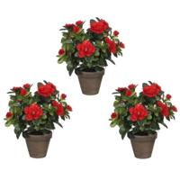 Mica Decorations Kunstplant - 3x - Azalea - groen/rood - 27 cm - Met mooie bloemen