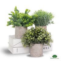 GreenDream® Kunstplanten set met 3 Kleine kunstplanten 20 cm - Cadeautip - thumbnail