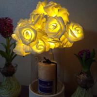 3m Rose vorm USB Plug romantische LED String vakantie licht 20 LEDs Teenage stijl Warm Fairy decoratieve Lamp voor Kerstmis bruiloft slaapkamer (Wa
