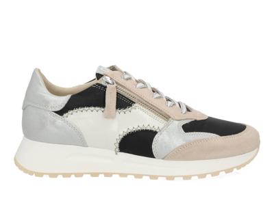 DL Sport 6529 vers 04 sheer multi zwart maat 42